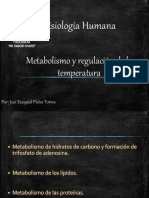 Metabolismo