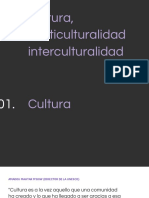 Cultura e Interculturalidad