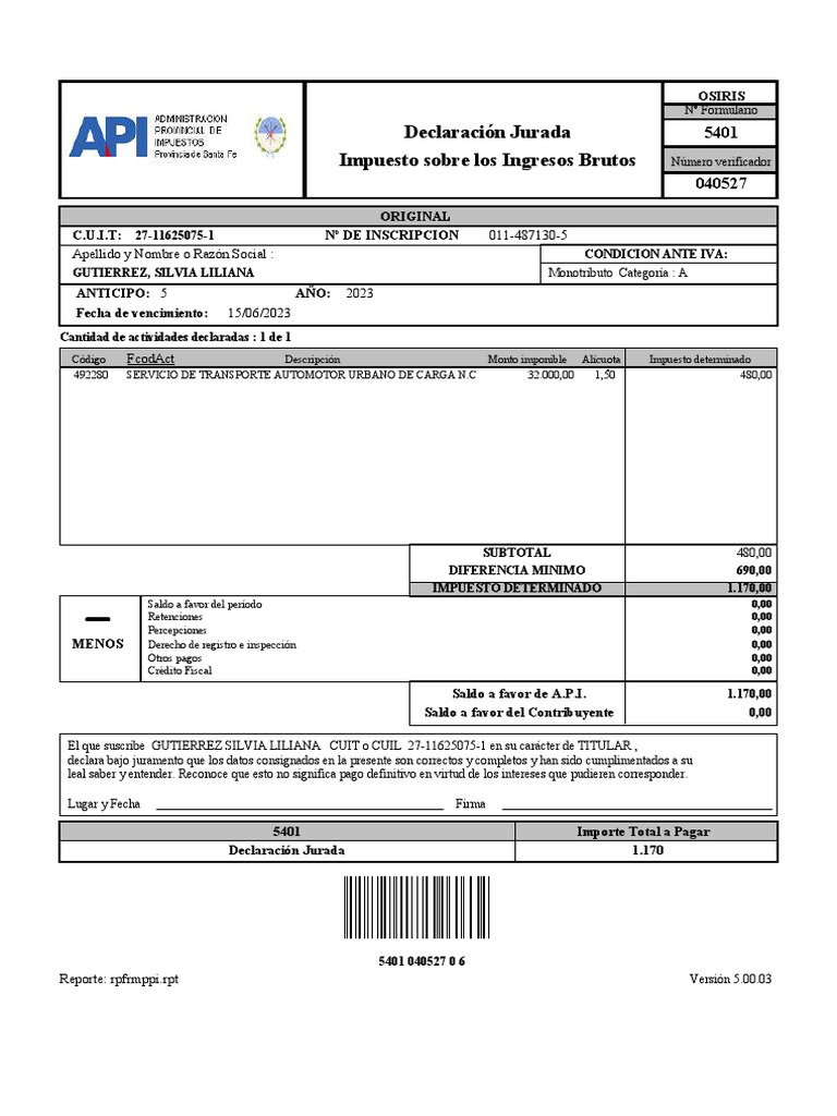 Declaración Jurada de Ingresos Brutos | PDF | Impuestos | Finanzas del ...