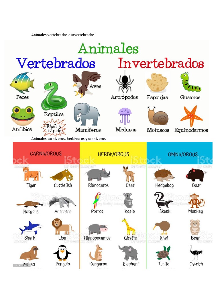 Animales | PDF | Ciencia y matemáticas