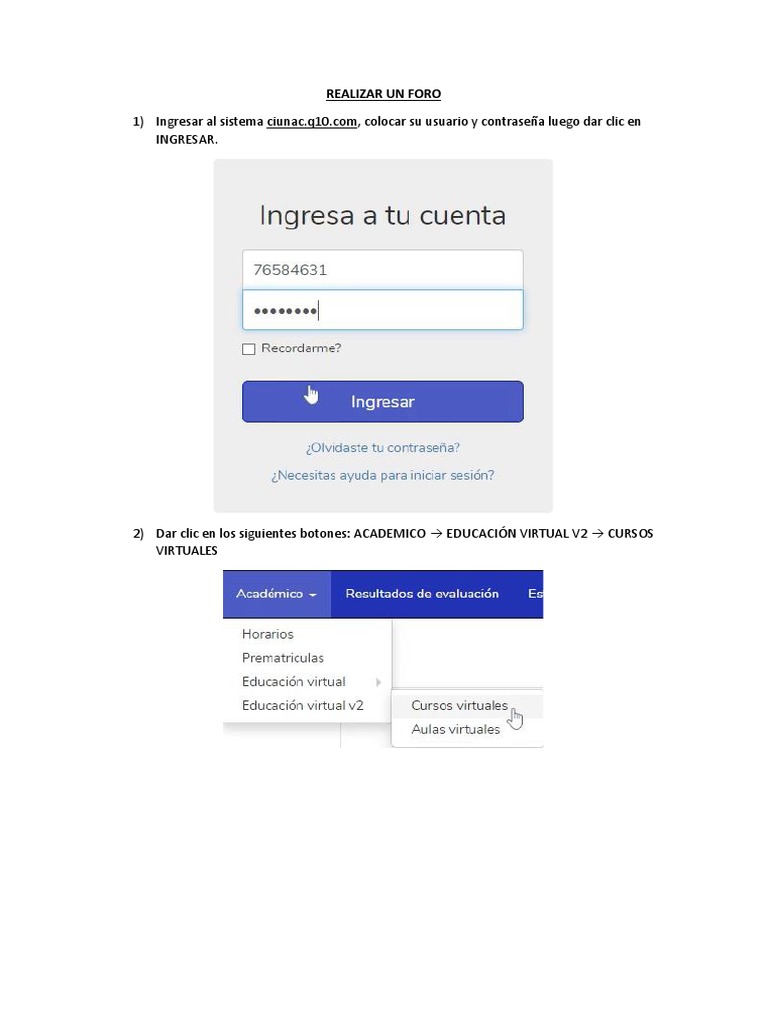 Realizar Un Foro | PDF