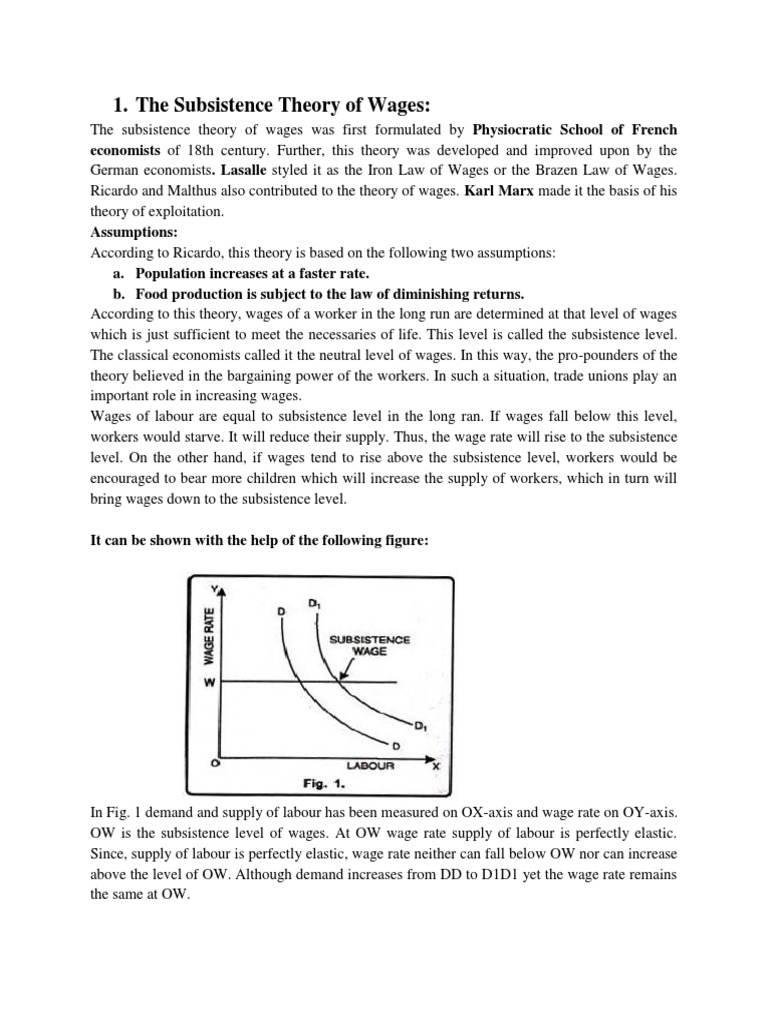 Subsistance Theory | PDF | Labour Economics | Perfect Competition