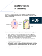 Topic 3 Cell Structure and Mitosis