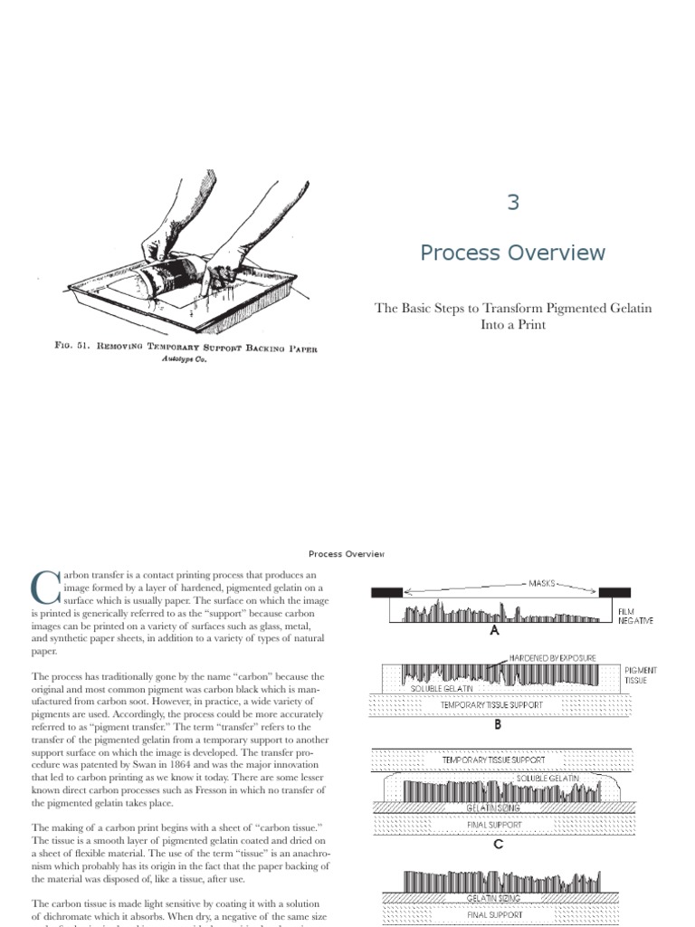 Carbon PrintingProcess Overview PDF