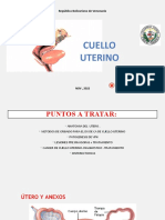 Clase de Cuello Uterino