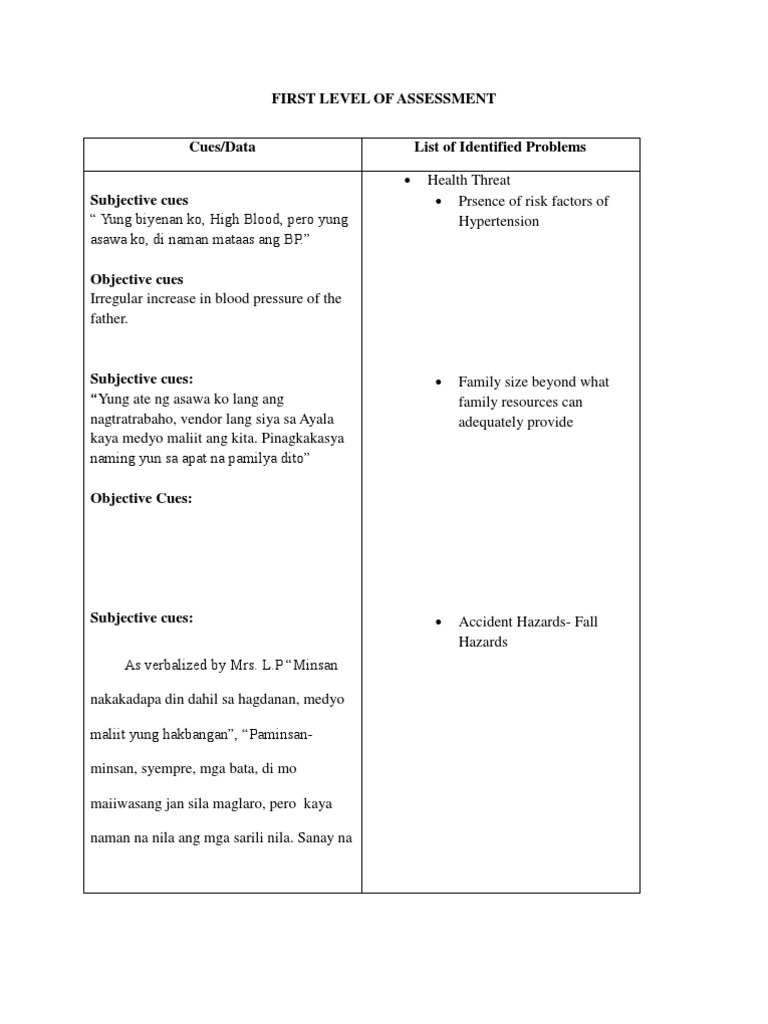 Family Health Assessment Report | PDF | Wellness