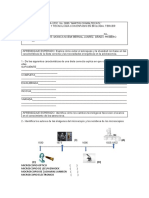 Examen Biologia Tercer Trimestre