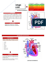 Combo Resumos Diversos - PDF