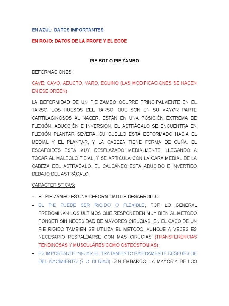 Pie Bot PDF Pie Tobillo