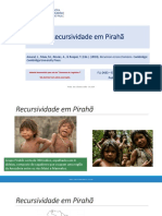 Slides-Recursividade Piraha