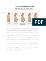 Grupos Sanguíneos y Problemas de Incompatibilidad Materno-Fetal