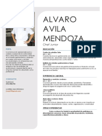 Alvaro Avila Mendoza CV