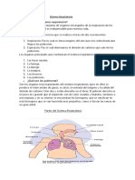Ficha Del Sistema Respiratorio 06.06.2023