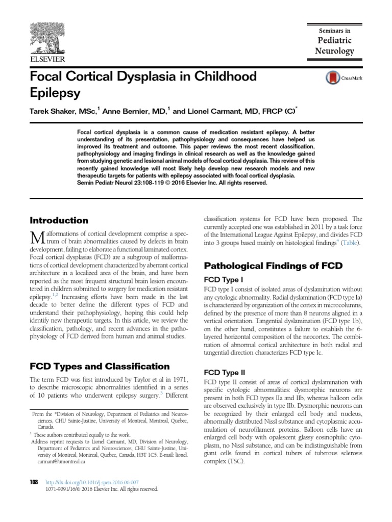 Focal Cortical Dysplasia in Childhood Epilepsy | PDF | History