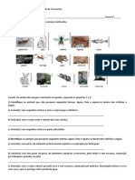 Atividade Estudo Dirigido Classificação