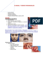 Patología Nasal y Senos Paranasales