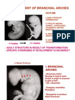 Branchial Arches Lectureff