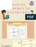 Sistema Reproductor Femenino