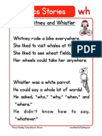 Phonics Stories Comprehension WH