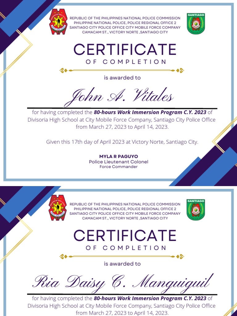 Work Immersion Completion Certificate | PDF