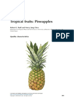 Pineapple Quality20