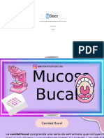Mucosa Bucal