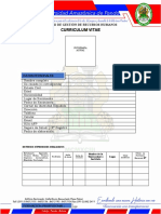 FORMATO CURRICULUM VITAE  - OFICIAL