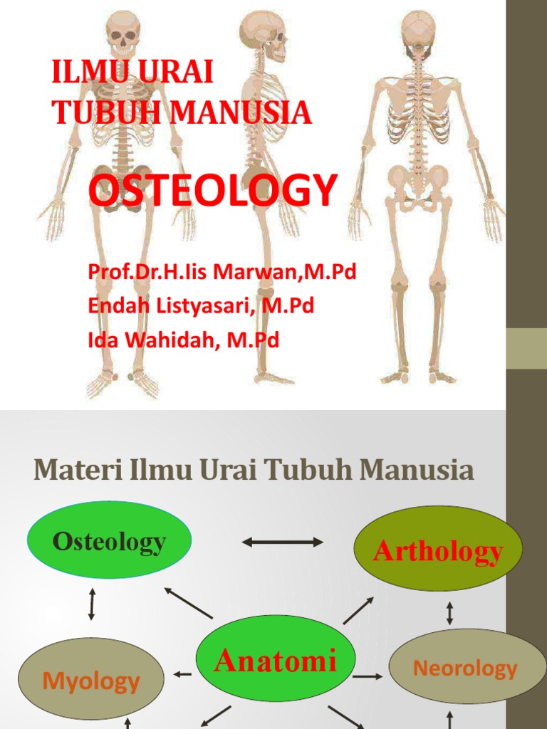 Ilmu Urai | PDF | Sains & Matematika
