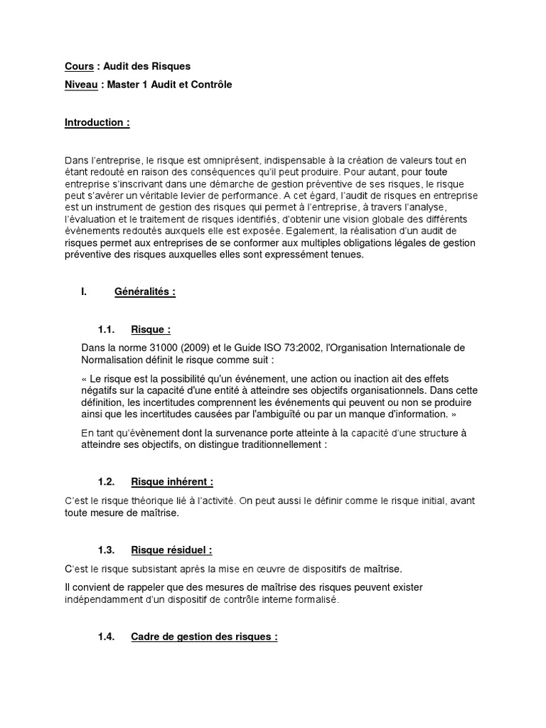 Audit des Risques en Entreprise | PDF | Risque | Gestion des risques
