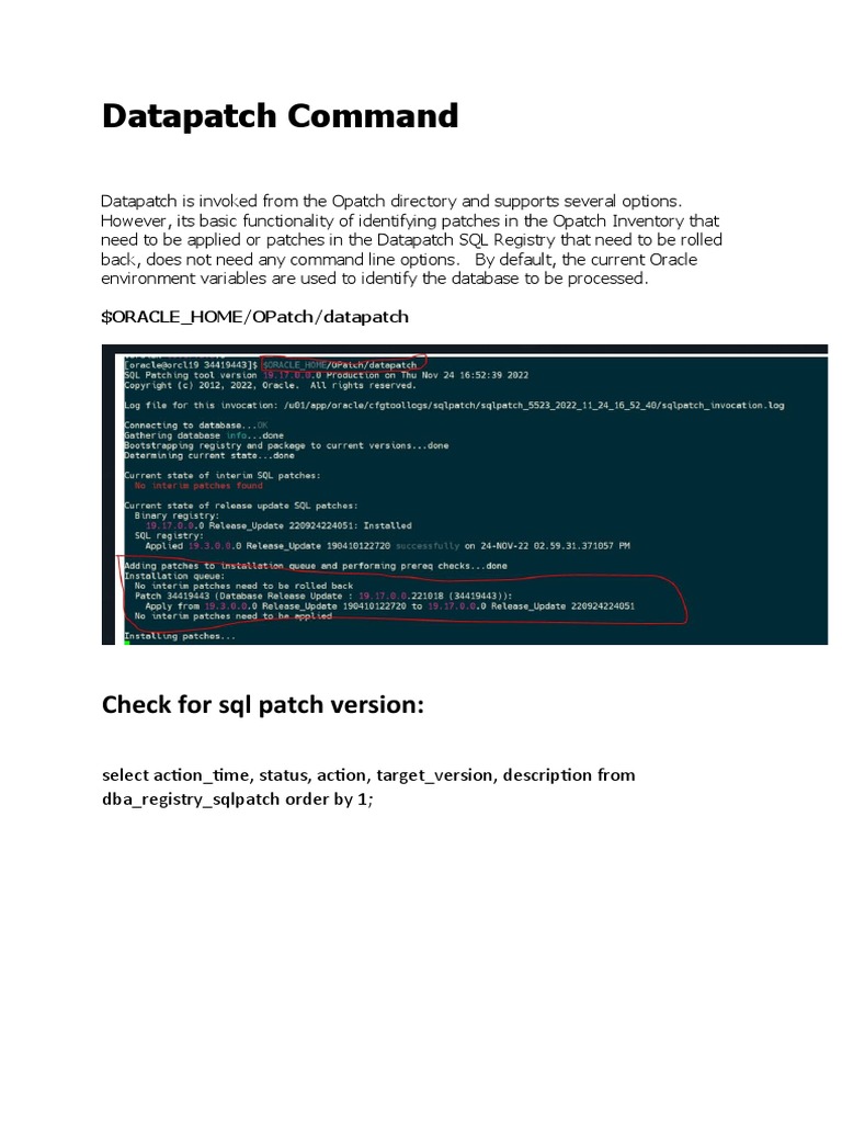 Datapatch Command Usage Guide | PDF | Science & Mathematics