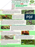 Especies en Peligro de Extinsión en El Perú