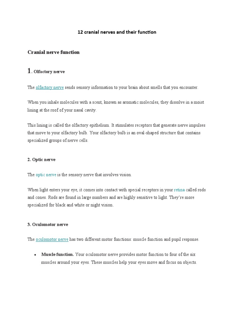 12 Cranial Nerves and Their Function | PDF | Self-Improvement | Wellness
