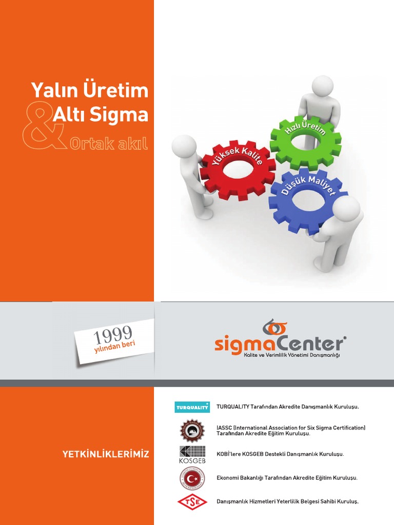 Yalin 6 Sigma Brosur | PDF
