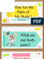 What Are The Parts of The Body?