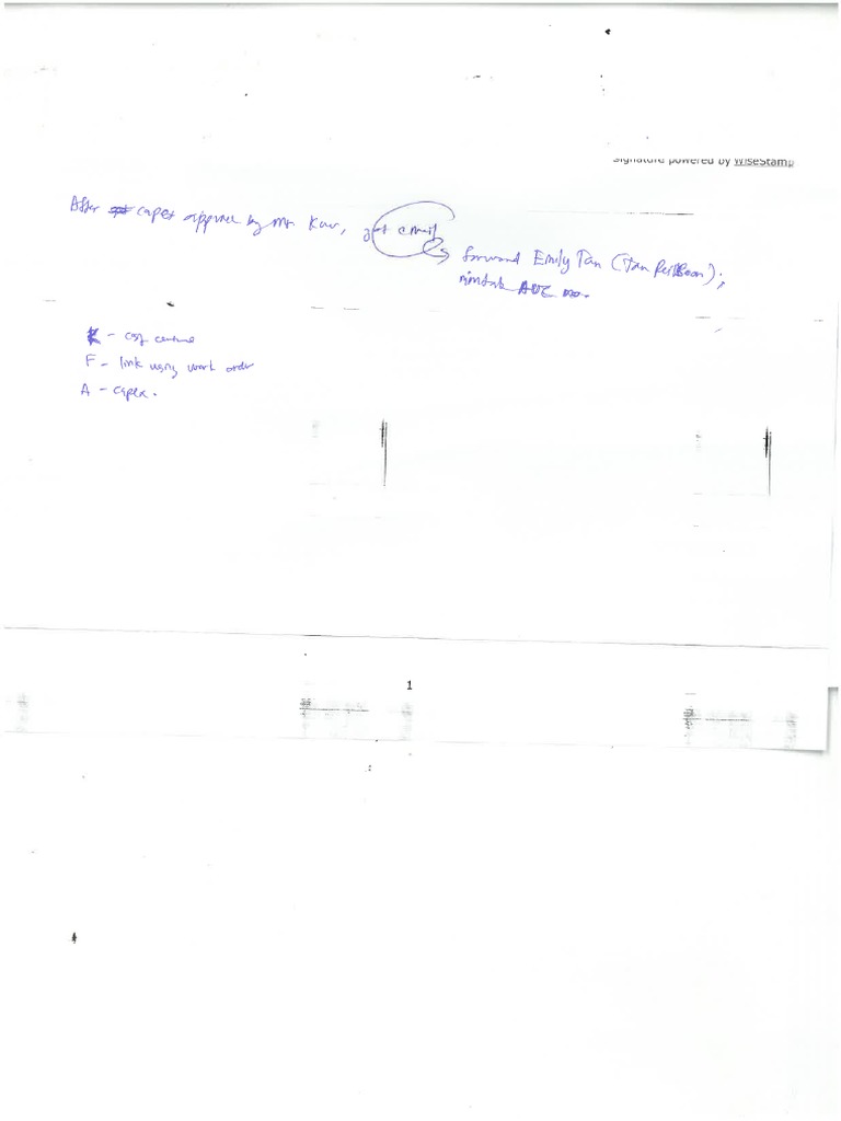 E-Capex Procedure | PDF