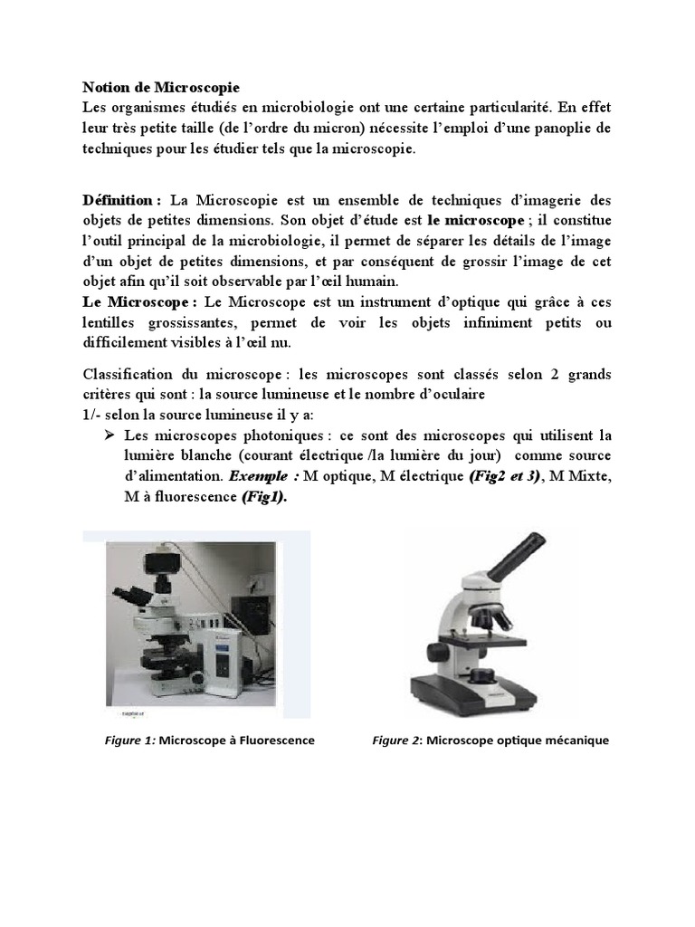Microscope : définition et explications
