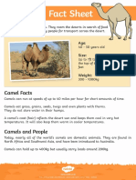 P2 Desert Animals 18.05.20