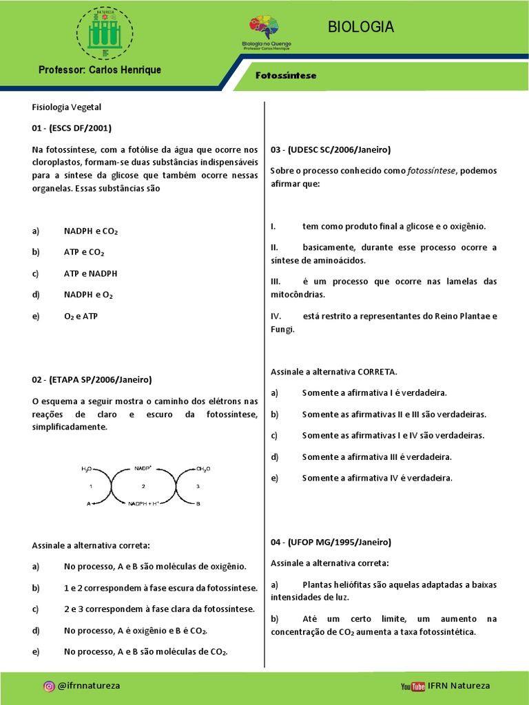 Fisiologia Vegetal - Fotossintese | PDF | Fotossíntese | Dióxido de carbono, image size:768x1024