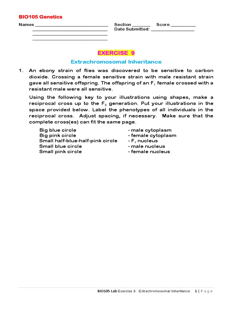 Exercise 9 | PDF