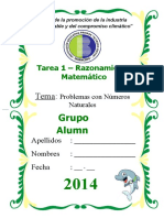 RMB-TAREA - RAZ.MAT. TEMA 1