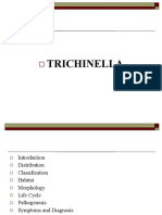 Trichinella Spiralis 2023