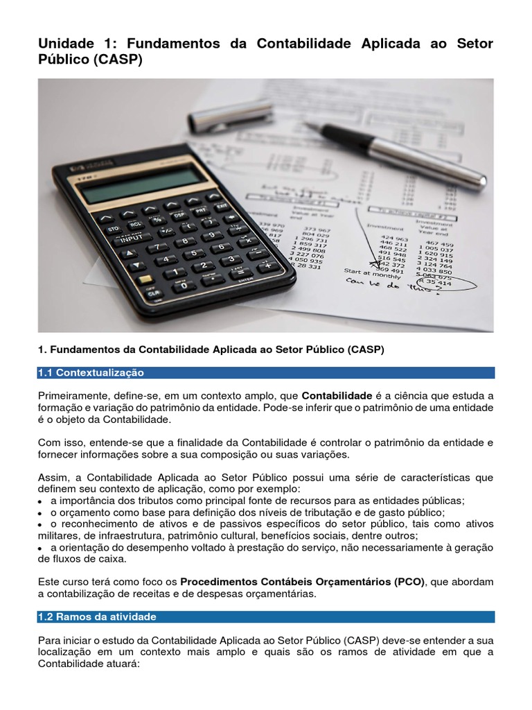 Conceitos b sicos de contabilidade aplicada ao setor p blico pdf
