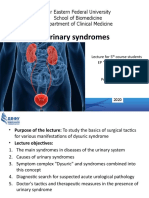5.9.8. Lecture Urinary Syndromes GM 2020
