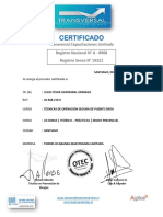 CERTIFICADO PTE-GRUA JULIO LIZARZABAL