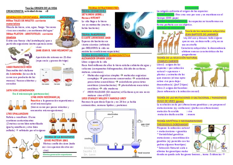 Teorías sobre el Origen de la Vida y Evolución | PDF