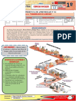 SEM 12 CCSS  1° UNIDAD II (1)