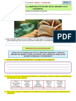 6° FICHA 30-11-22 CyT