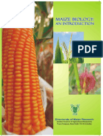 Maize Biology An Introduction