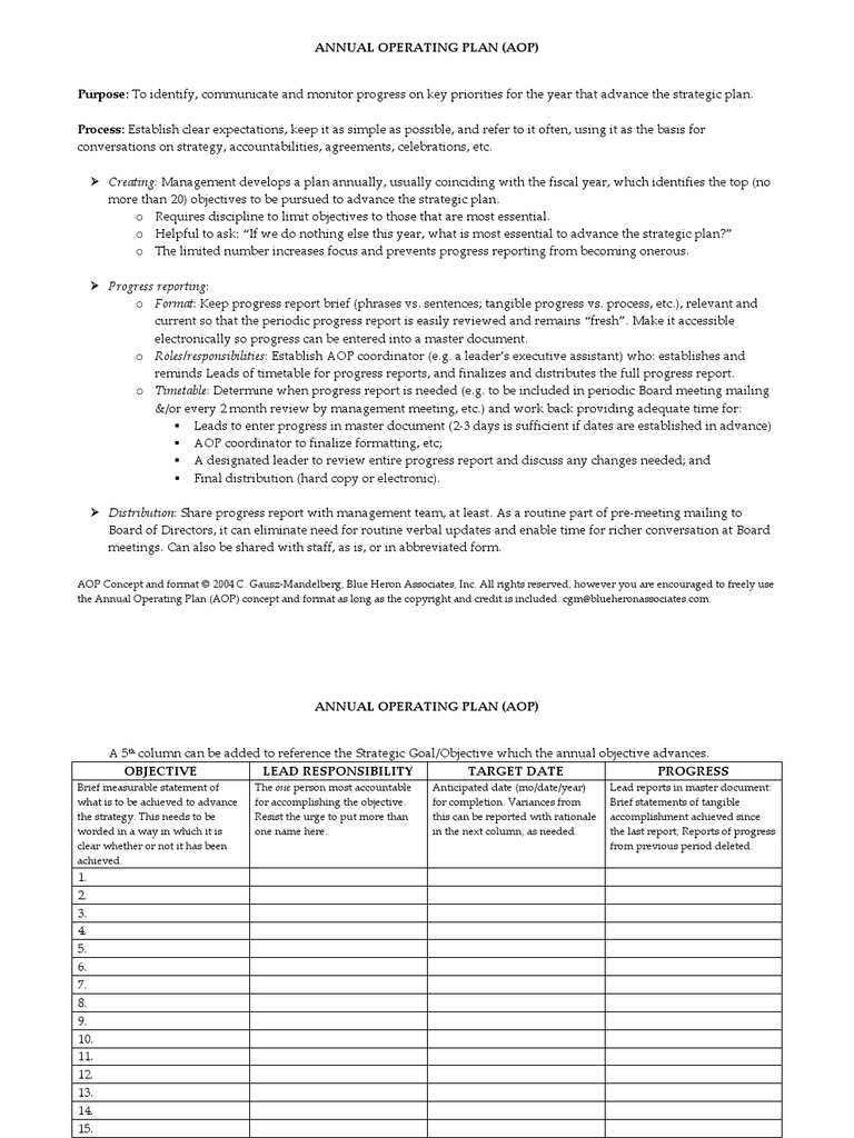 Annual Operating Plan | PDF