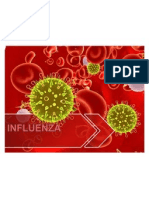 Presentation Influenza (2)